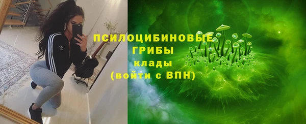 бошки Кулебаки