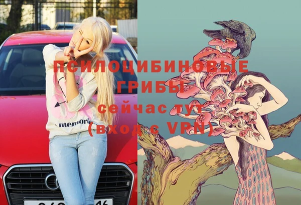 бошки Кулебаки